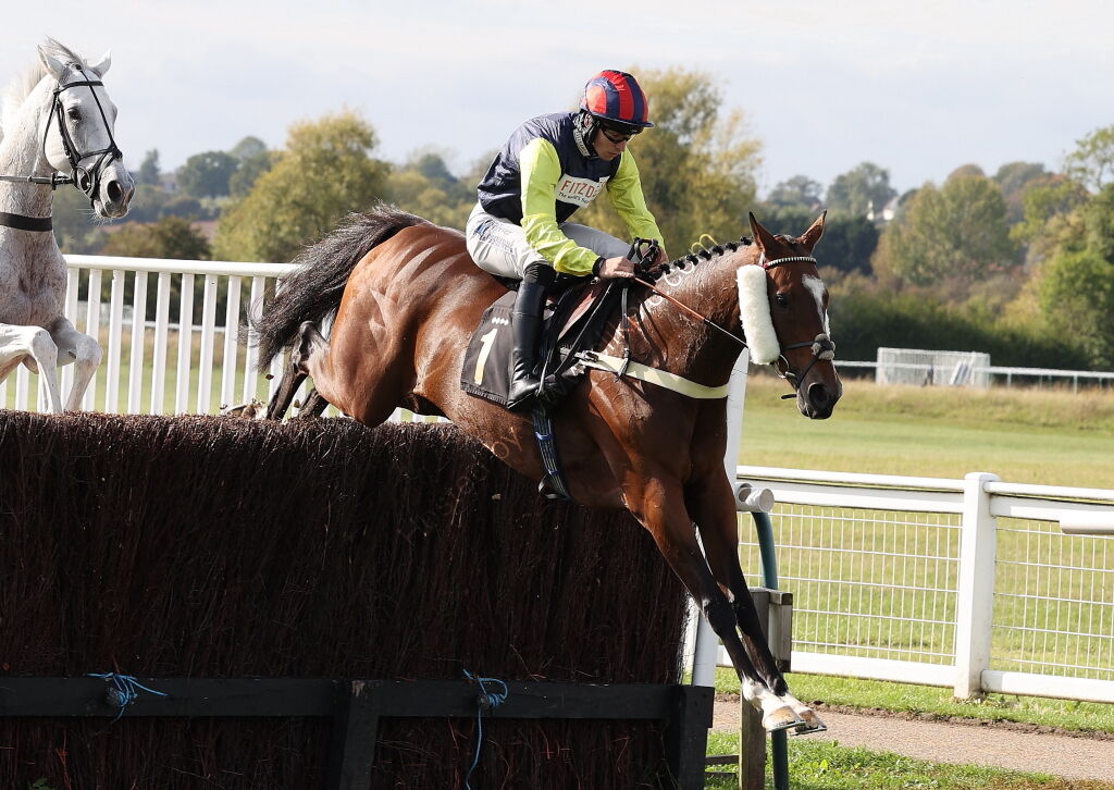 Redditch United Handicap Chase