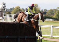 Redditch United Handicap Chase