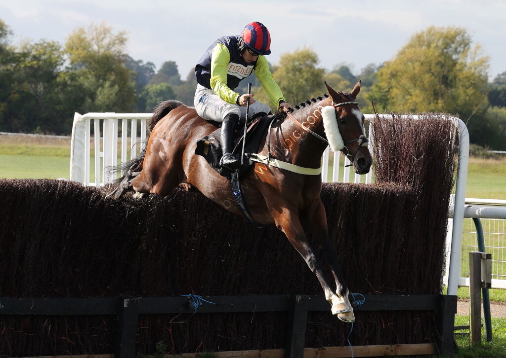 Redditch United Handicap Chase