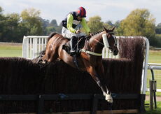 Redditch United Handicap Chase