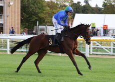 Green Ape Media Nov Ltd H'cap Chase