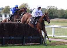 Green Ape Media Nov Ltd H'cap Chase