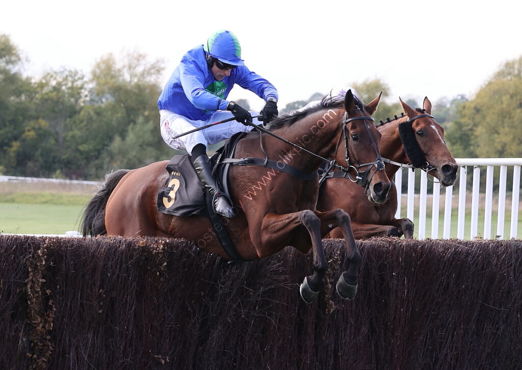 Green Ape Media Nov Ltd H'cap Chase