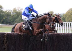 Green Ape Media Nov Ltd H'cap Chase