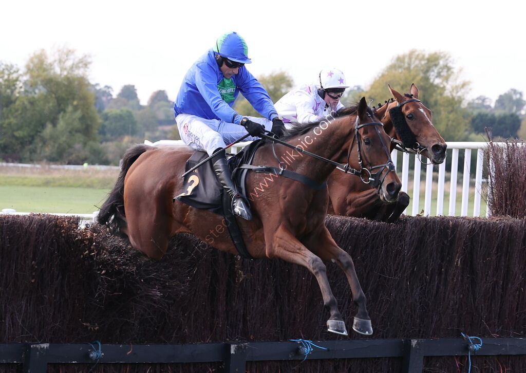 Green Ape Media Nov Ltd H'cap Chase