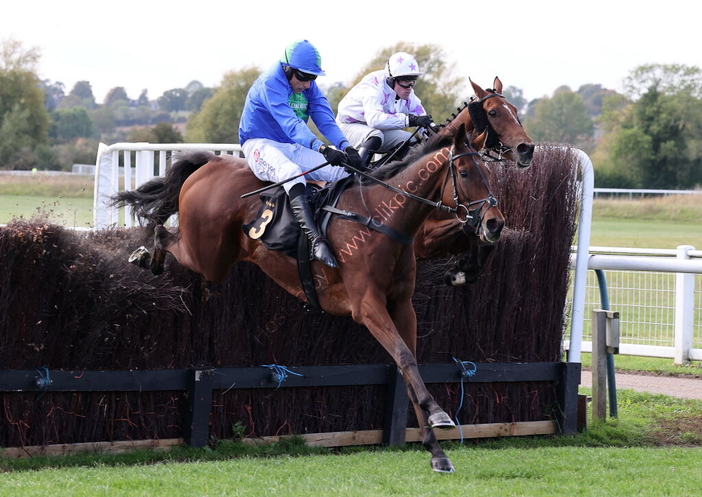 Green Ape Media Nov Ltd H'cap Chase