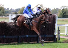 Green Ape Media Nov Ltd H'cap Chase