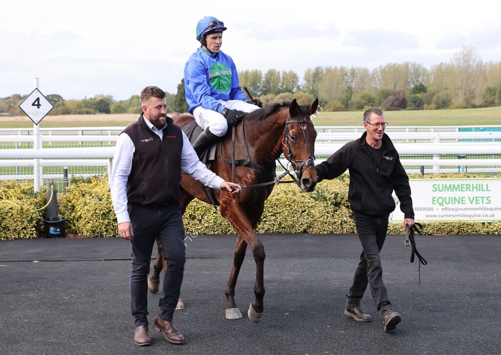 Green Ape Media Nov Ltd H'cap Chase