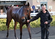 Green Ape Media Nov Ltd H'cap Chase