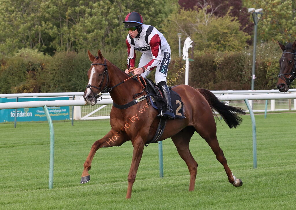 Inuit Quickbooks 'NH' Nov Hurdle