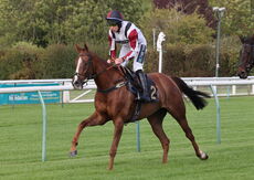 Inuit Quickbooks 'NH' Nov Hurdle