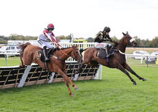 Inuit Quickbooks 'NH' Nov Hurdle