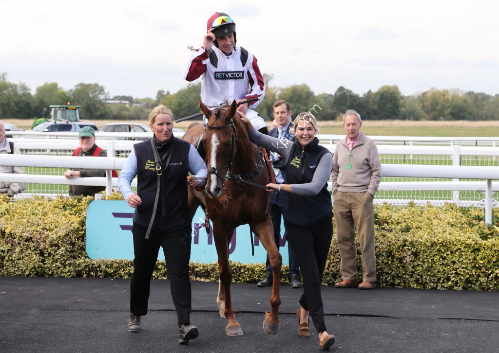 Inuit Quickbooks 'NH' Nov Hurdle