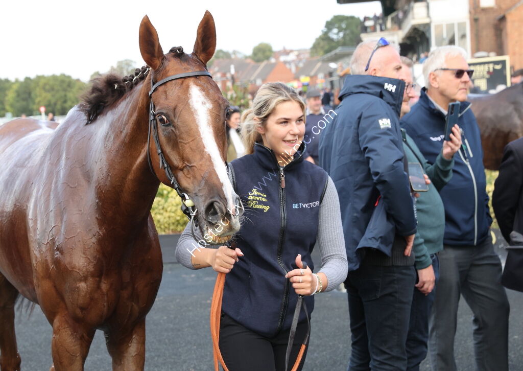 Inuit Quickbooks 'NH' Nov Hurdle