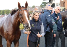 Inuit Quickbooks 'NH' Nov Hurdle