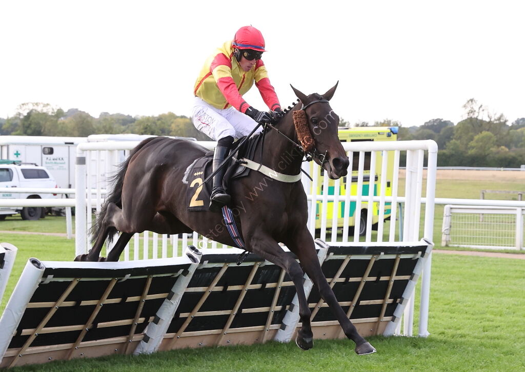 Apron Payrun Mares' Maiden Hurdle