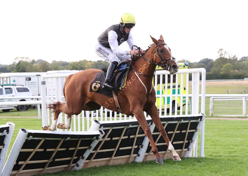 Apron Payrun Mares' Maiden Hurdle