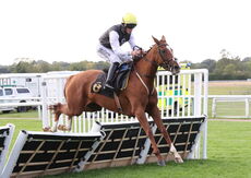 Apron Payrun Mares' Maiden Hurdle