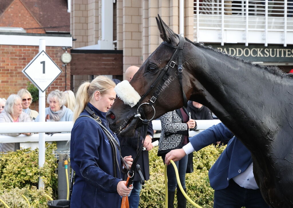 Apron Payrun Mares' Maiden Hurdle