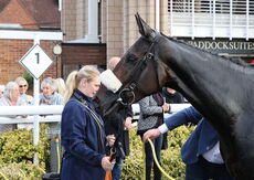 Apron Payrun Mares' Maiden Hurdle