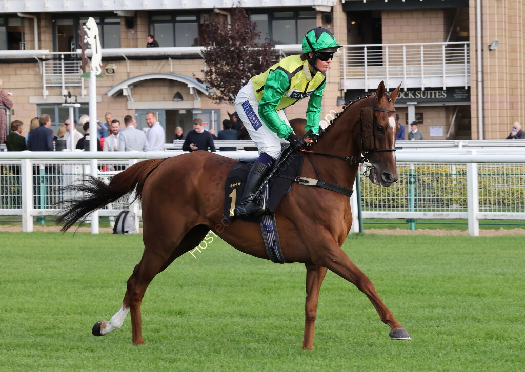 Ignite Incentives Handicap Hurdle