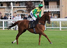 Ignite Incentives Handicap Hurdle