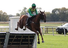 Ignite Incentives Handicap Hurdle