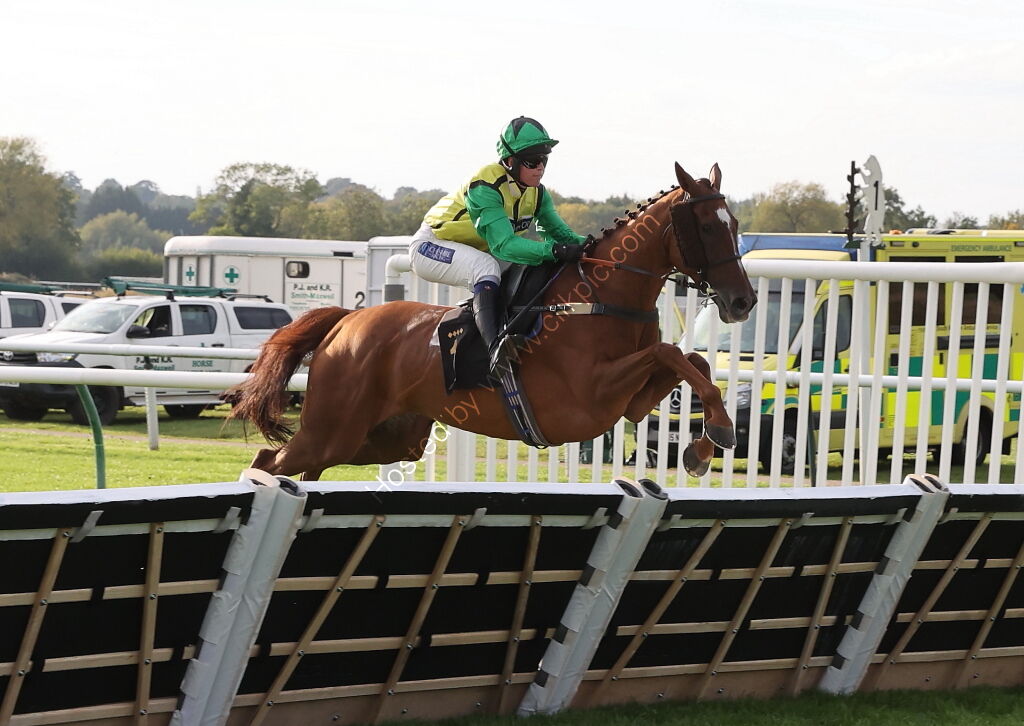 Ignite Incentives Handicap Hurdle