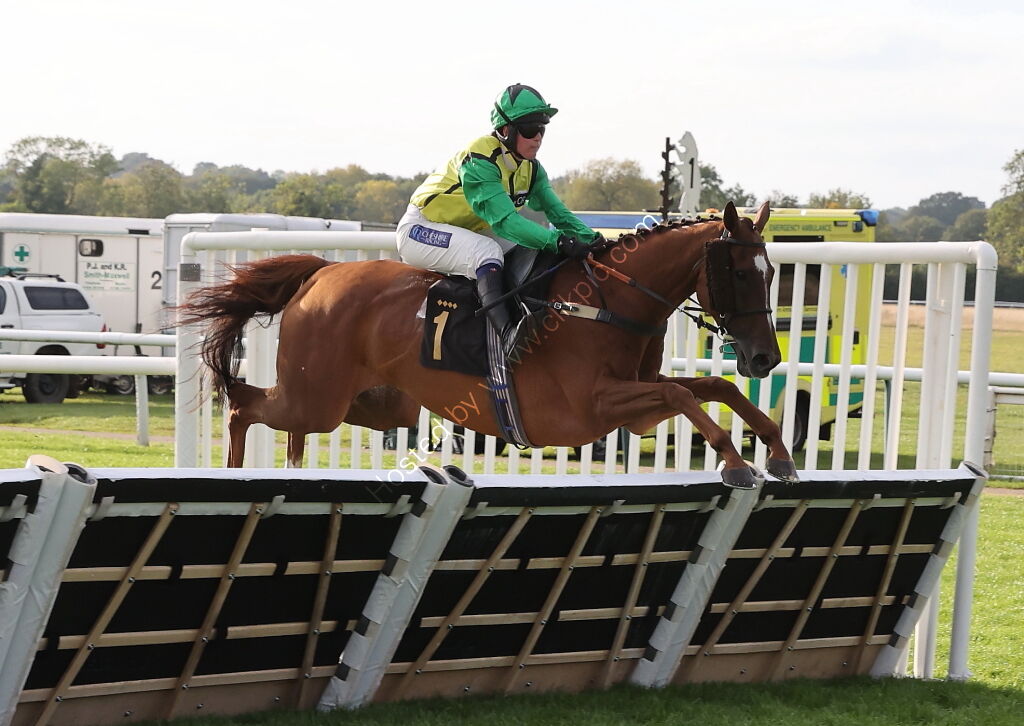 Ignite Incentives Handicap Hurdle