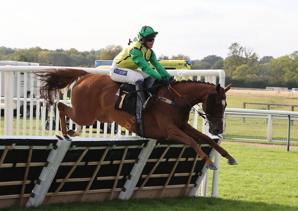 Ignite Incentives Handicap Hurdle