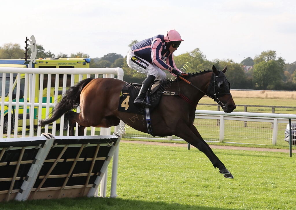 Ignite Incentives Handicap Hurdle