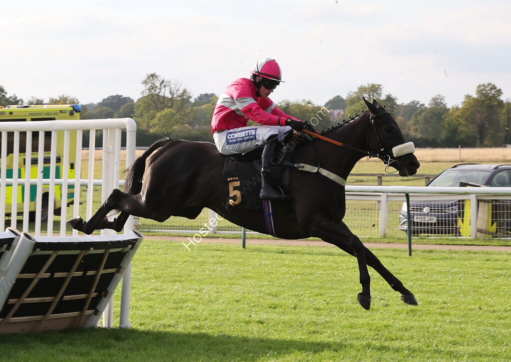 Ignite Incentives Handicap Hurdle