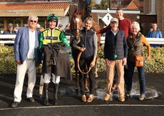Ignite Incentives Handicap Hurdle