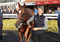 Ignite Incentives Handicap Hurdle