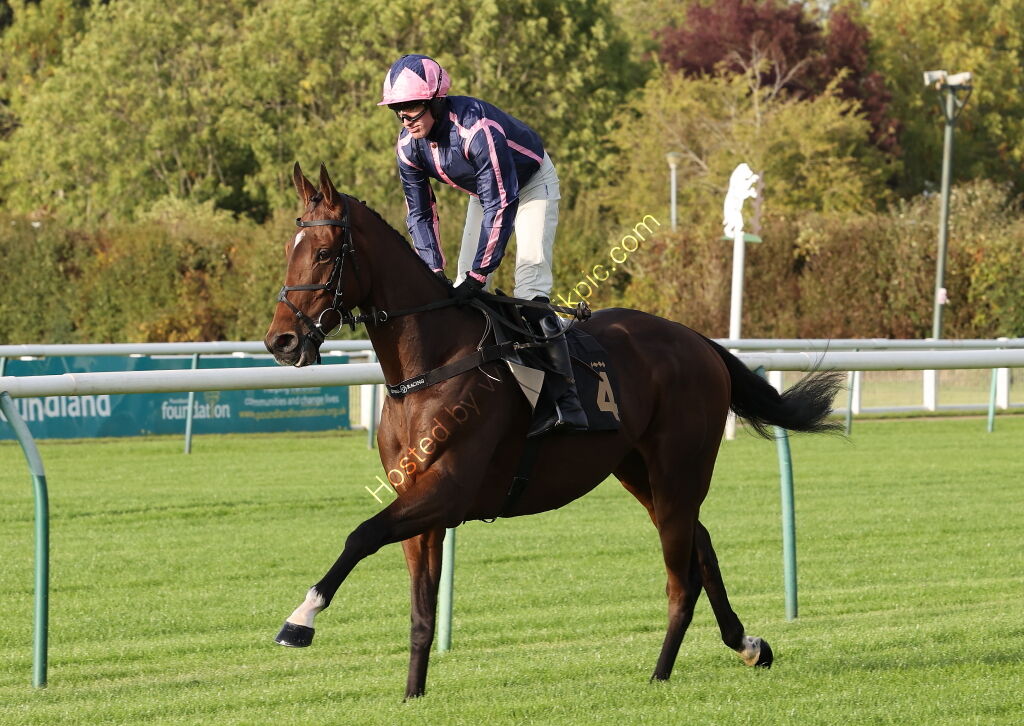 Zoo Accounting Open 'NH' Flat Race