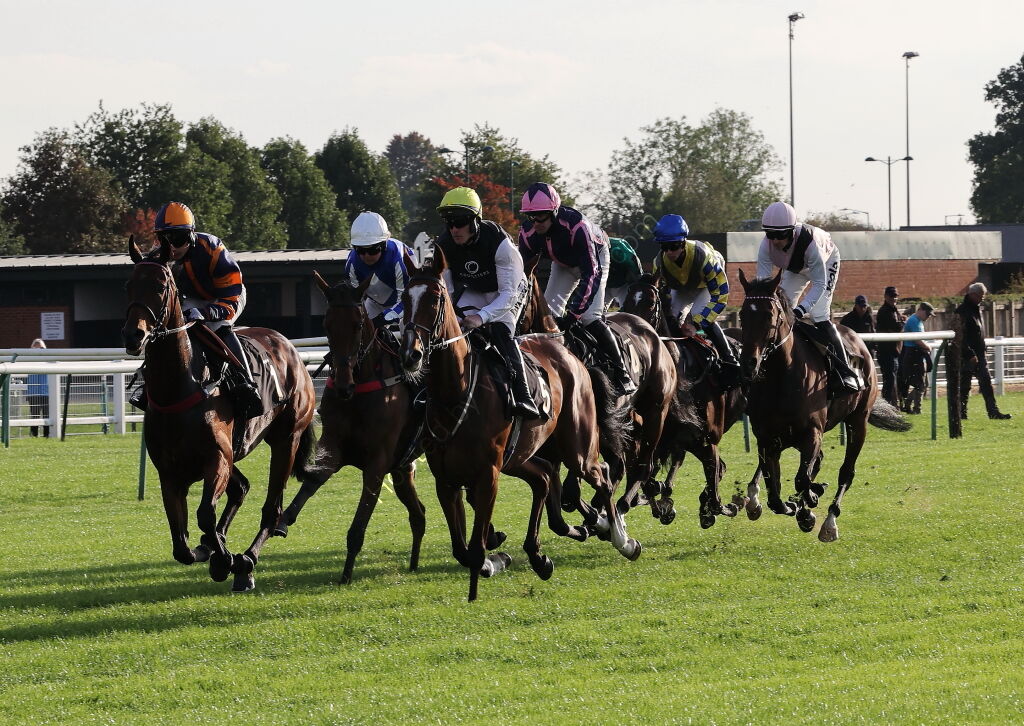 Zoo Accounting Open 'NH' Flat Race