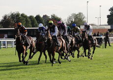 Zoo Accounting Open 'NH' Flat Race