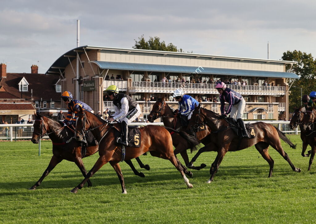 Zoo Accounting Open 'NH' Flat Race