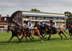 Zoo Accounting Open 'NH' Flat Race