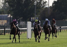 Zoo Accounting Open 'NH' Flat Race