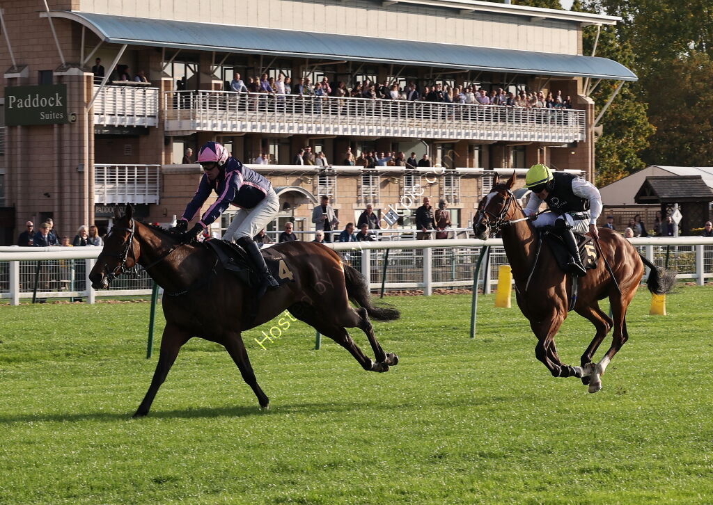 Zoo Accounting Open 'NH' Flat Race