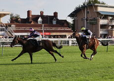 Zoo Accounting Open 'NH' Flat Race