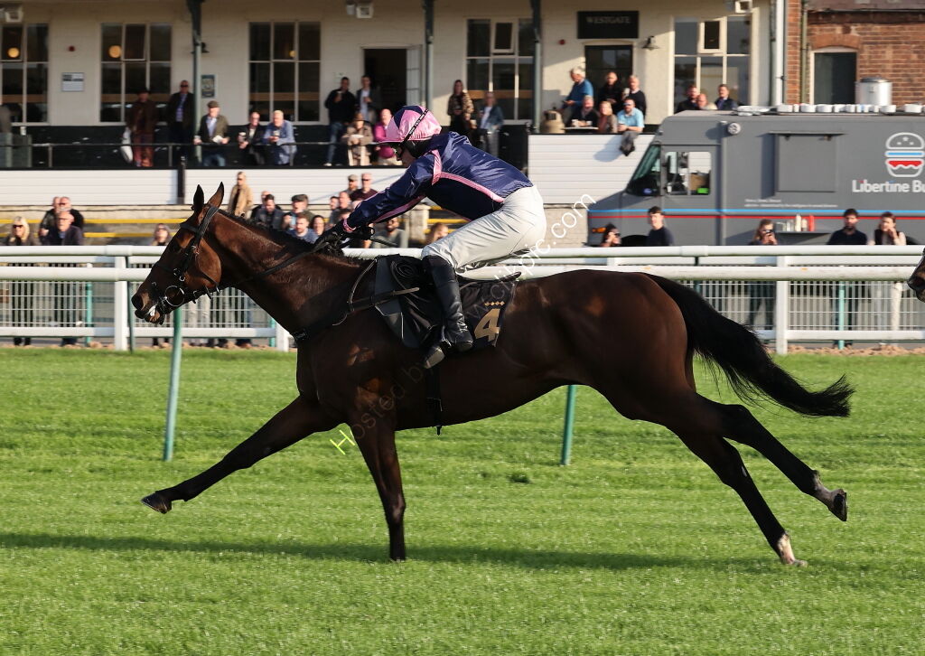 Zoo Accounting Open 'NH' Flat Race