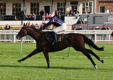 Zoo Accounting Open 'NH' Flat Race