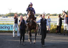 Zoo Accounting Open 'NH' Flat Race