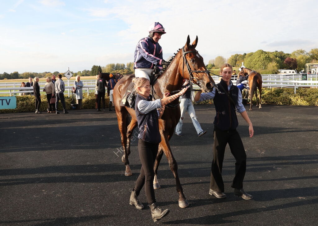 Zoo Accounting Open 'NH' Flat Race