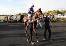 Zoo Accounting Open 'NH' Flat Race