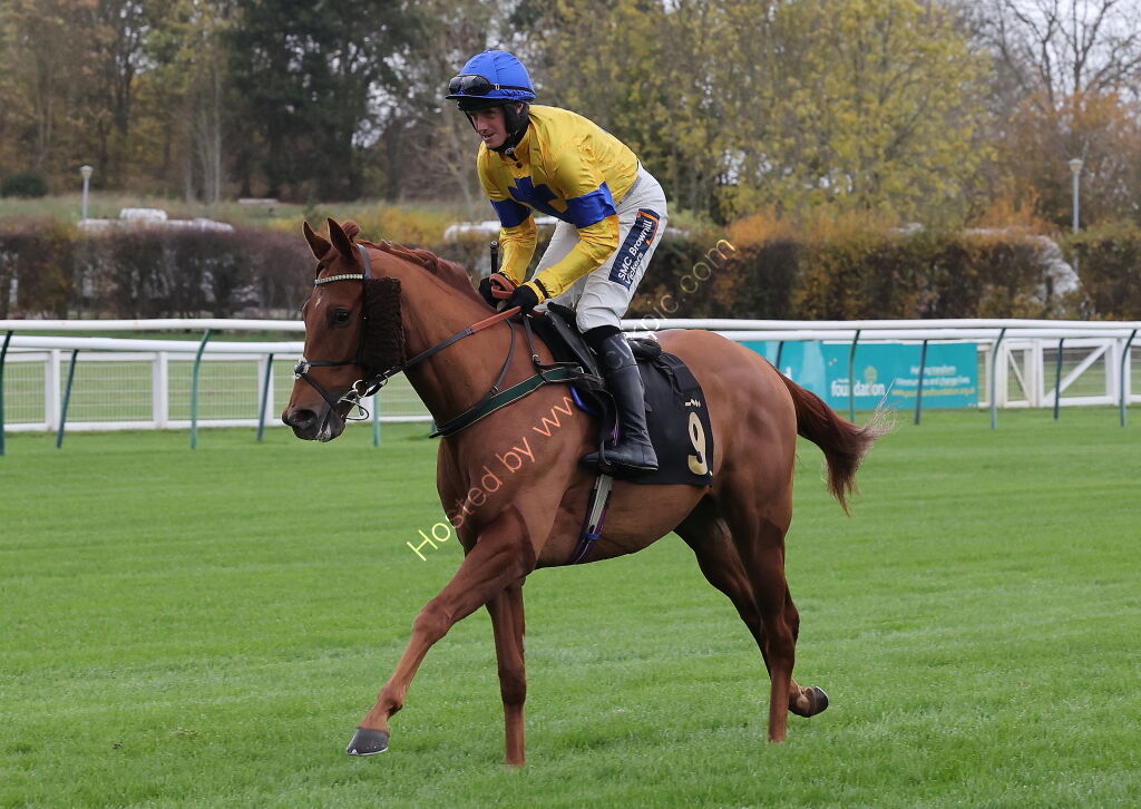 Pricedup.bet Juvenile Maiden Hurdle