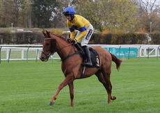 Pricedup.bet Juvenile Maiden Hurdle