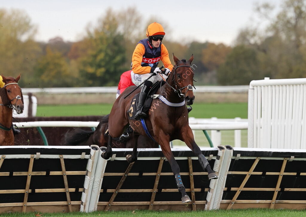 Pricedup.bet Juvenile Maiden Hurdle